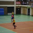 haldwoajka 16